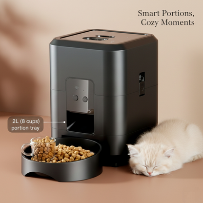 Every Meal, Built Around Their Routine